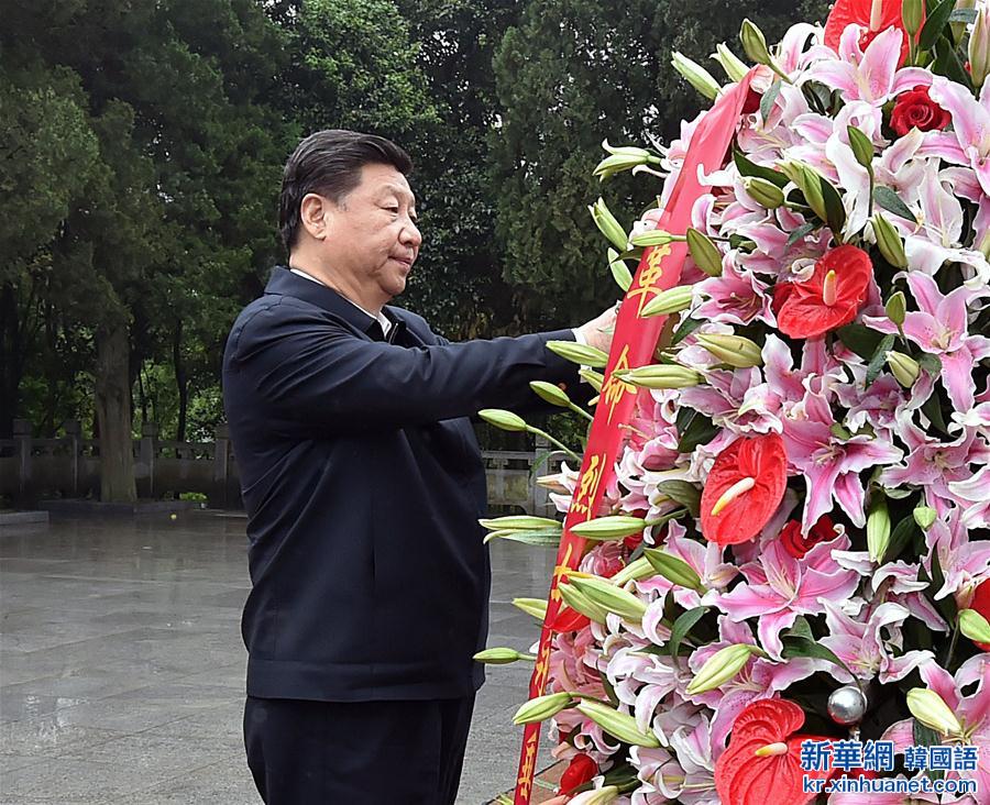 （时政）（4）习近平在安徽调研