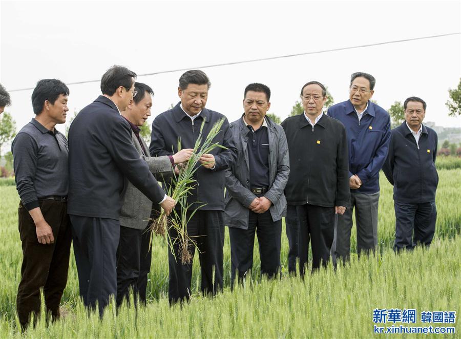 （时政）（11）习近平在安徽调研