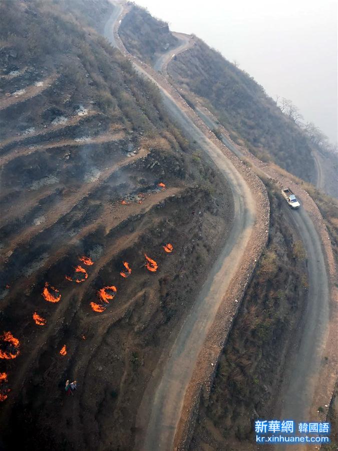 （国际）印度北部森林火灾蔓延致7人死亡