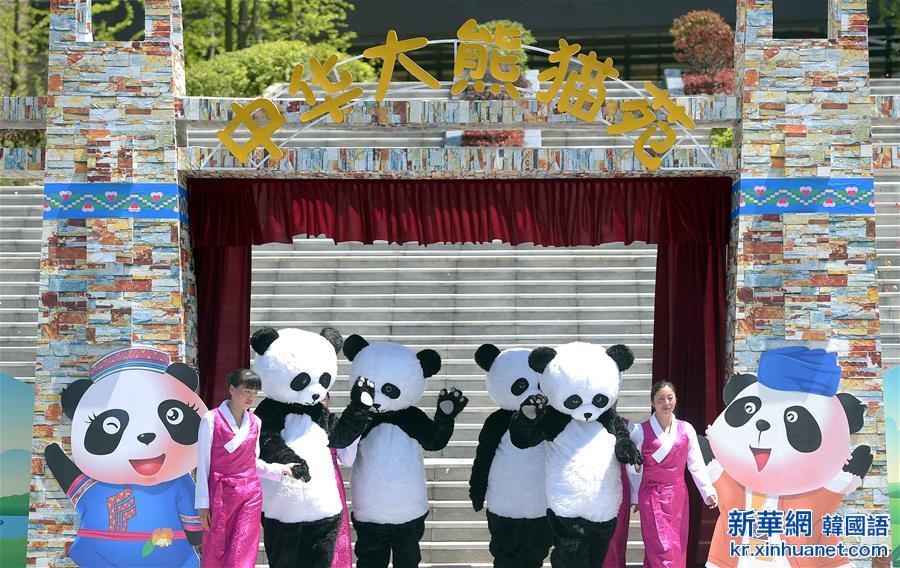 （社会）（2）中华大熊猫苑正式开园