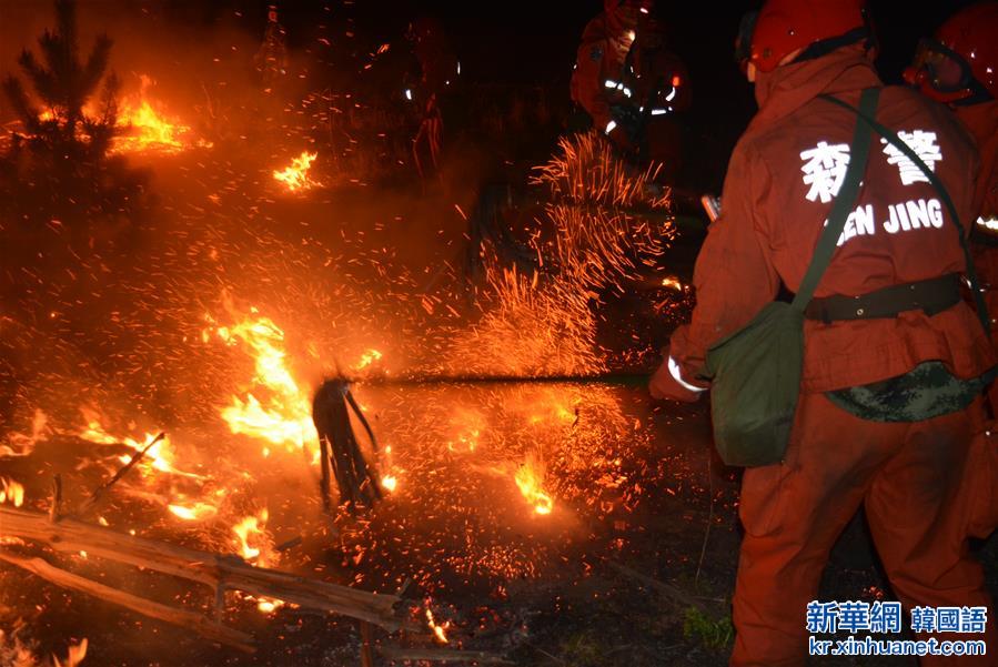 #（突发事件）（3）内蒙古红花尔基樟子松母树林区发生森林火灾