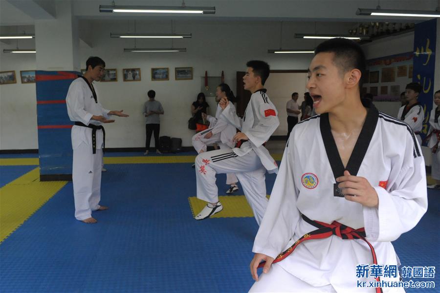 （体育）（3）跆拳道——韩国-四川跆拳道交流活动举行