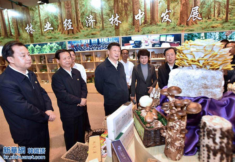 （时政）（3）习近平在黑龙江考察