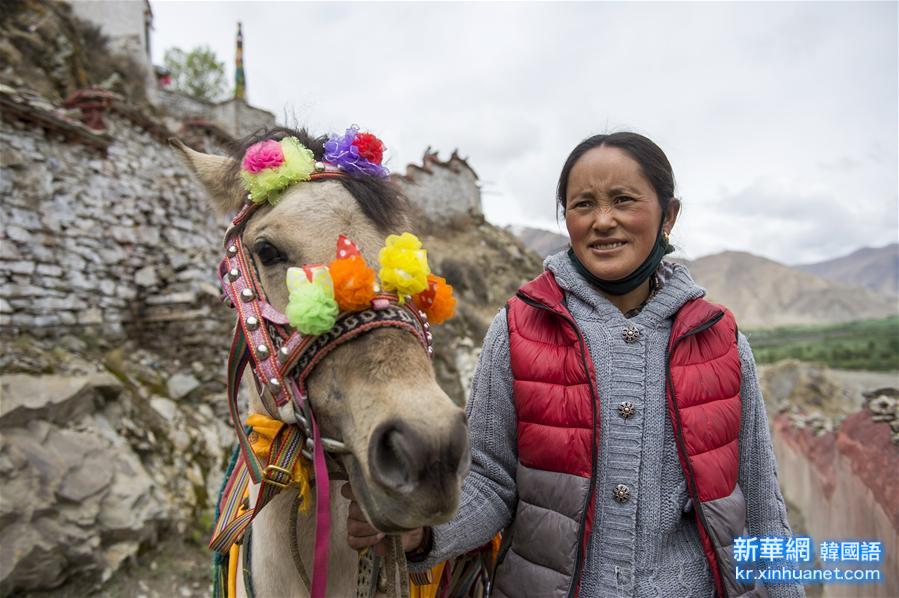 （社会）（5）西藏山南多举措帮助群众脱贫
