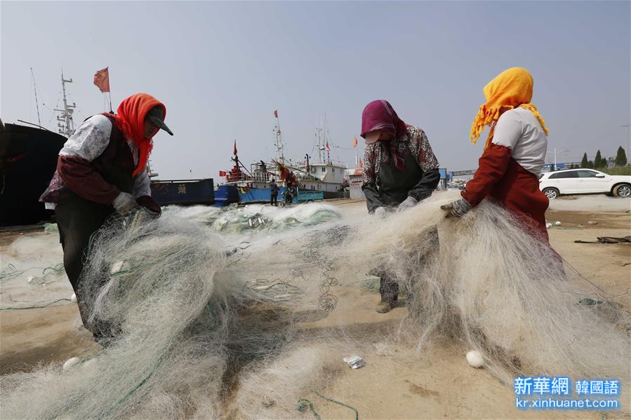 #（社会）（3）渤海黄海东海海域伏季休渔6月1日开始