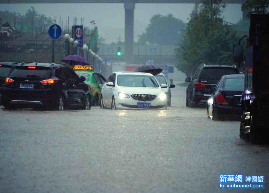 （生態）（3）南昌遭遇暴雨 部分路段出現積水