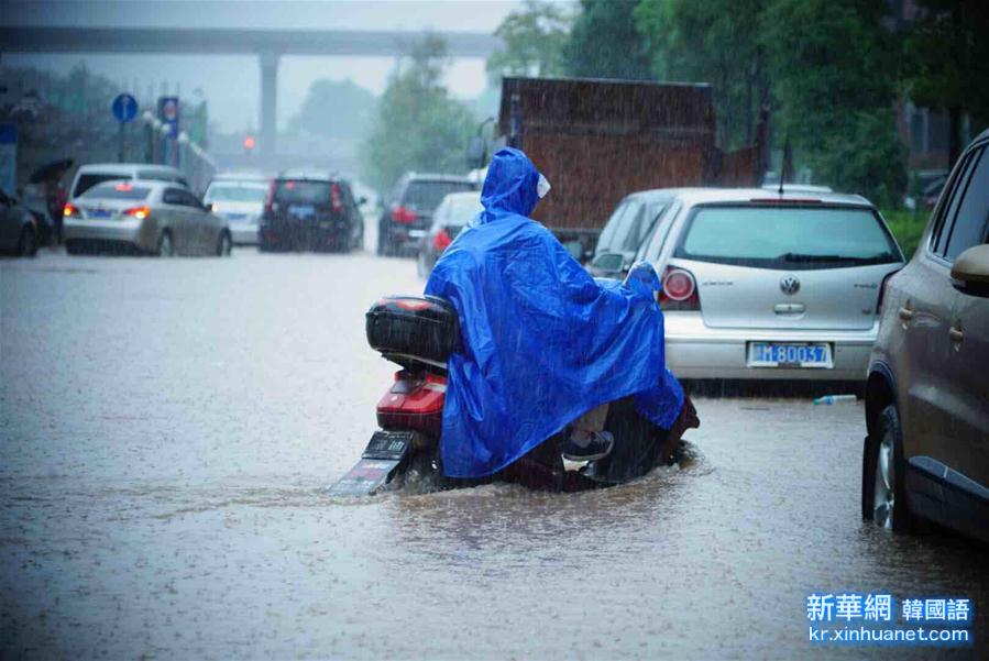 （生态）（4）南昌遭遇暴雨 部分路段出现积水