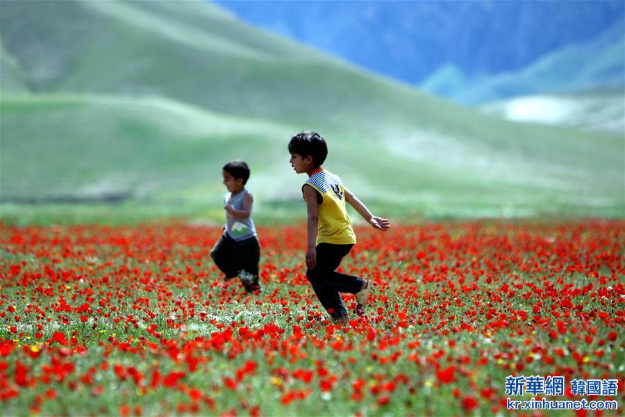 （国际）（1）新华社前摄影雇员扎比·塔马纳镜头中的阿富汗