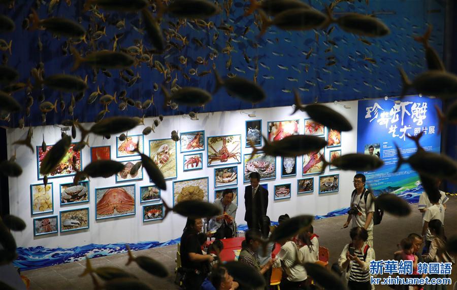 （社会）（1）世界海洋日：“虾兵蟹将”齐聚北京海洋馆