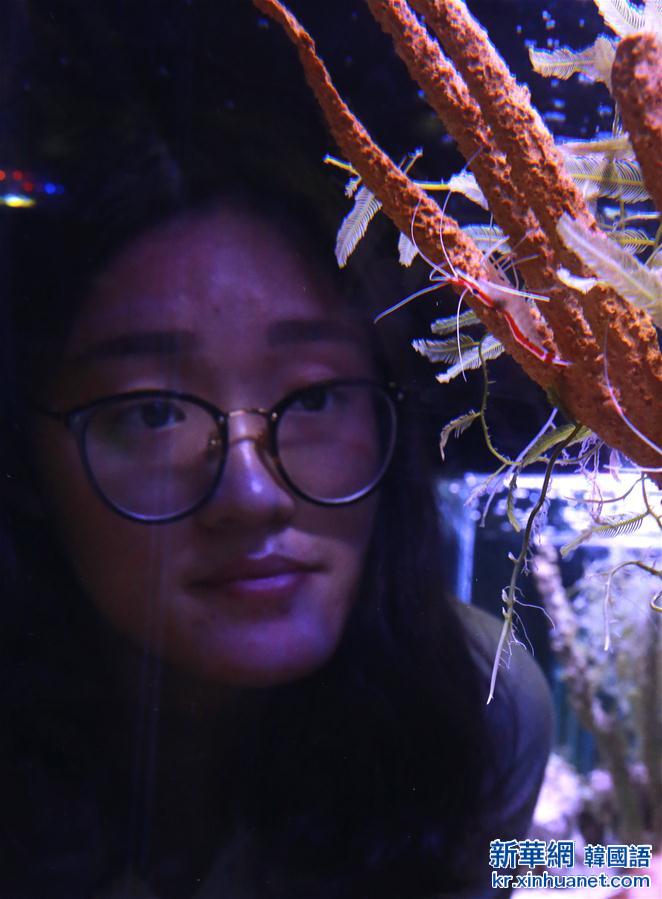 （社會）（3）世界海洋日：“蝦兵蟹將”齊聚北京海洋館