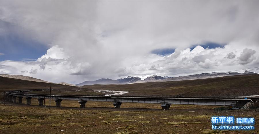 （天路十年·图文互动）（6）青藏铁路：“高原净土”上的绿色穿行
