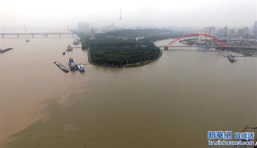 （抗洪救灾）（1）长江中下游干流水位全线超警戒水位