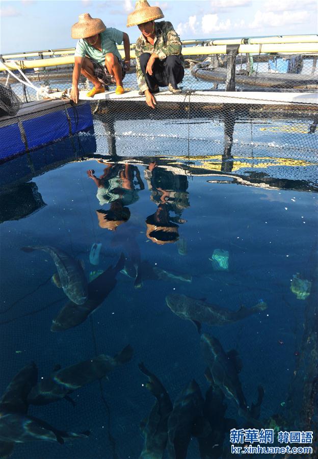 （城乡热点）（3）南沙美济礁渔民屯海戍边养殖热带鱼类