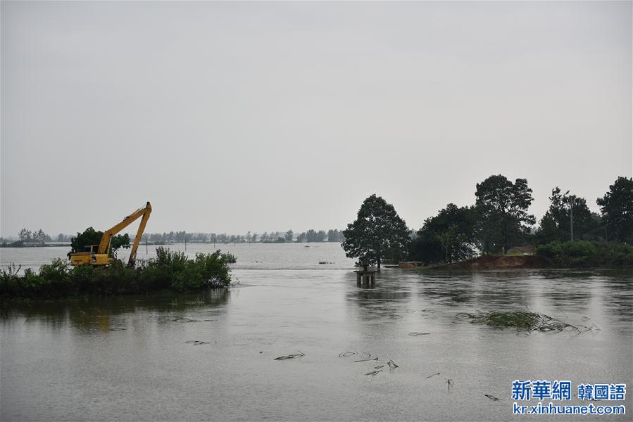 （抗洪救灾）（3）湖北黄梅县考田河堤出现溃口 数千人紧急转移