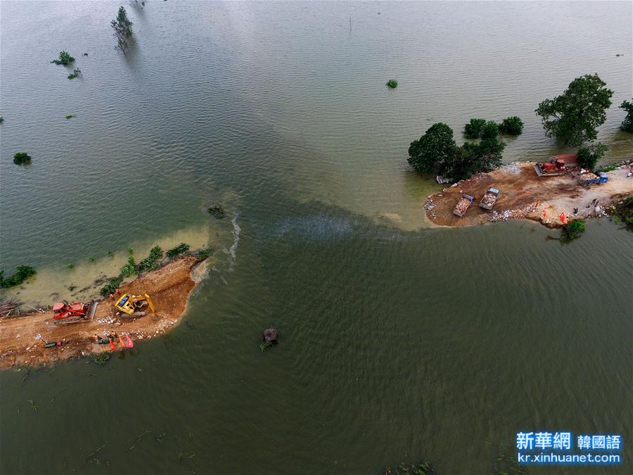 （抗洪救灾）（1）湖北黄梅县考田河堤溃口开始封堵