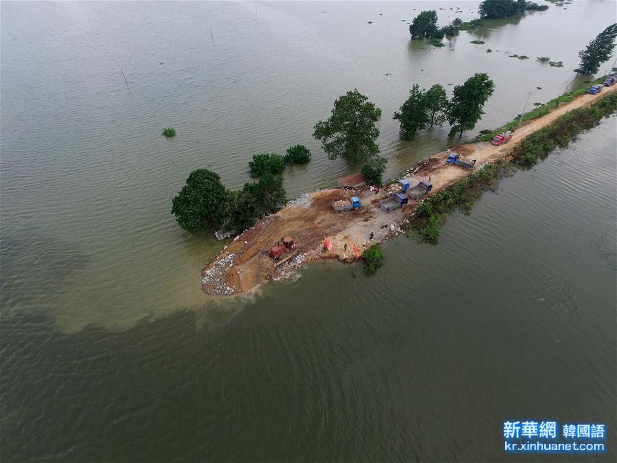 （抗洪救灾）（3）湖北黄梅县考田河堤溃口开始封堵