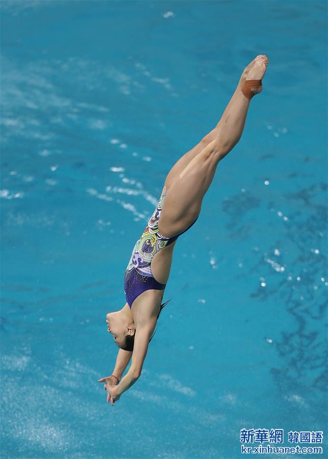 （里约奥运会）（2）跳水——中国跳水队在里约进行适应性训练