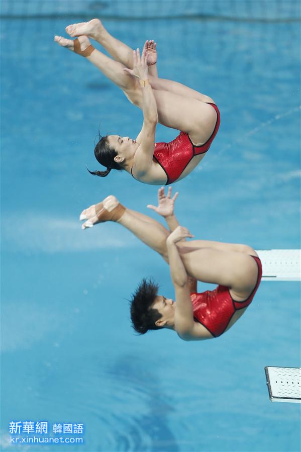 （里约奥运会）（5）跳水——女子双人三米板：吴敏霞和施廷懋夺冠