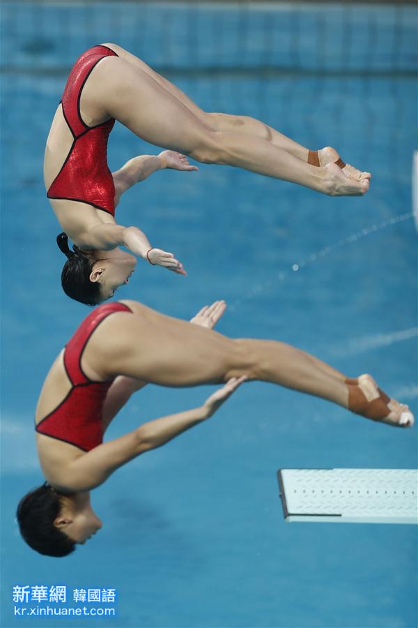 （里约奥运会）（6）跳水——女子双人三米板：吴敏霞和施廷懋夺冠
