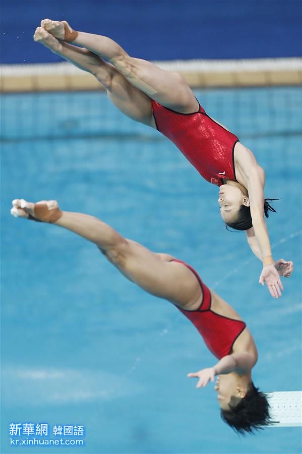 （里约奥运会）（7）跳水——女子双人三米板：吴敏霞和施廷懋夺冠