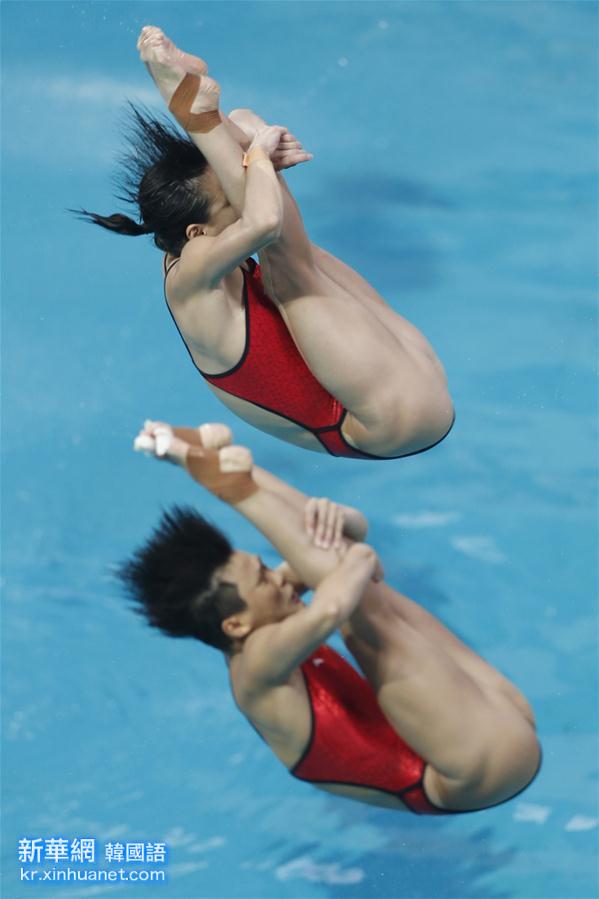 （里约奥运会）（8）跳水——女子双人三米板：吴敏霞和施廷懋夺冠