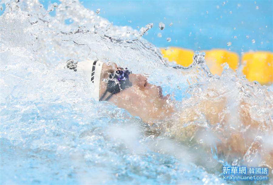 （里约奥运会）（3）游泳——傅园慧女子100米仰泳摘铜