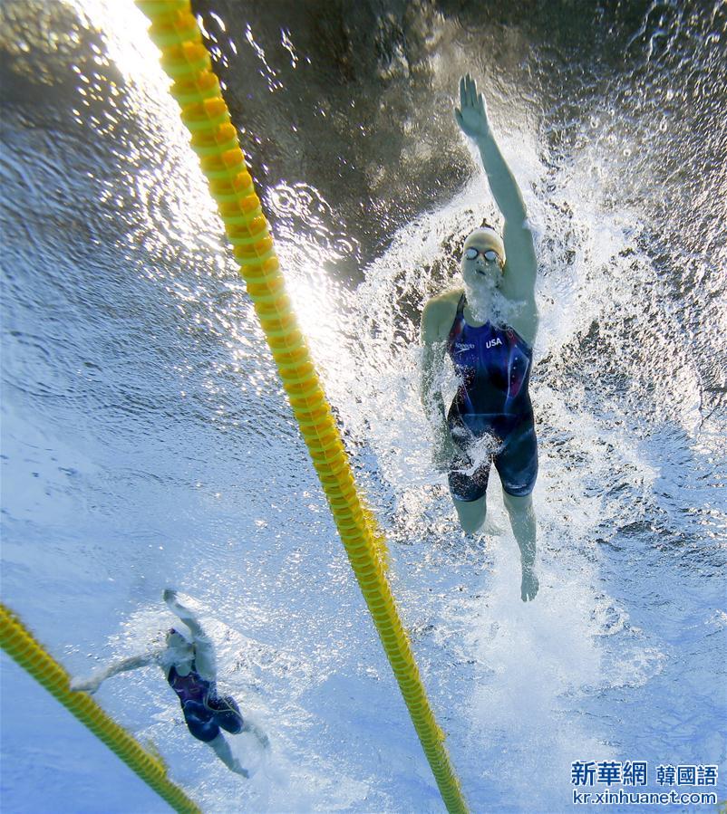 （里约奥运会·多棱镜）（3）游泳——群星耀碧水