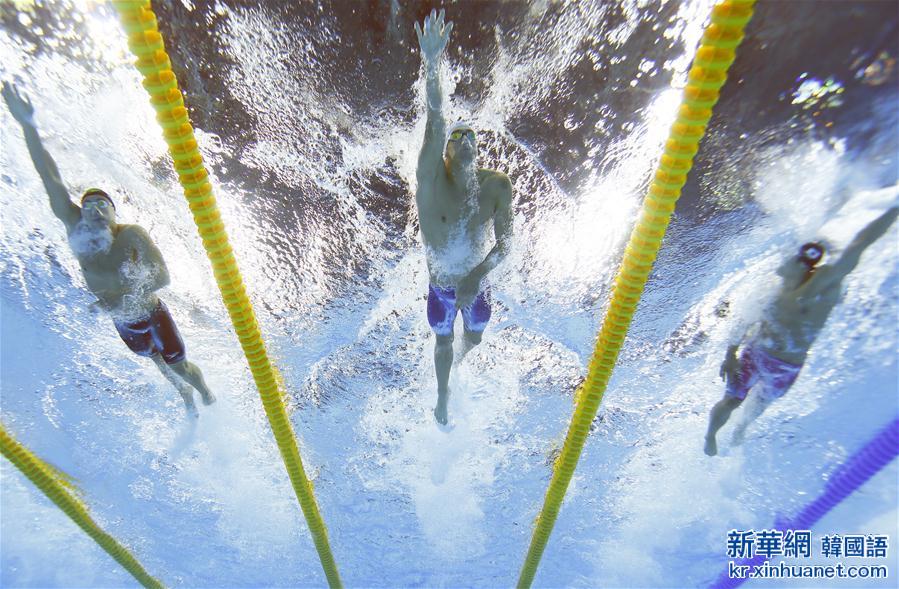 （裏約奧運會·多棱鏡）（4）游泳——群星耀碧水
