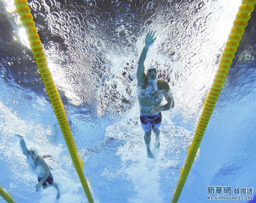 （里约奥运会·多棱镜）（5）游泳——群星耀碧水