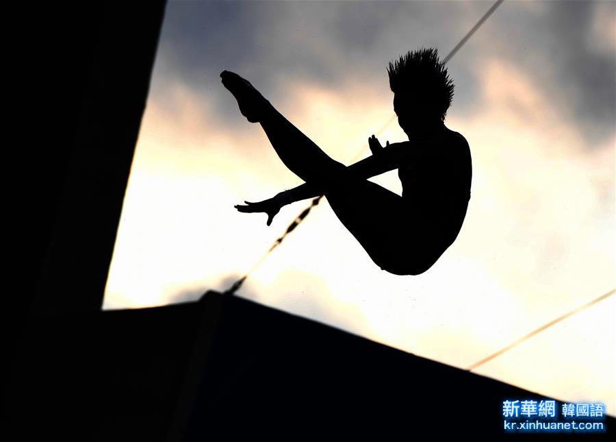 （裏約奧運會）（5）跳水——女子十米跳臺：中國選手包攬金銀牌