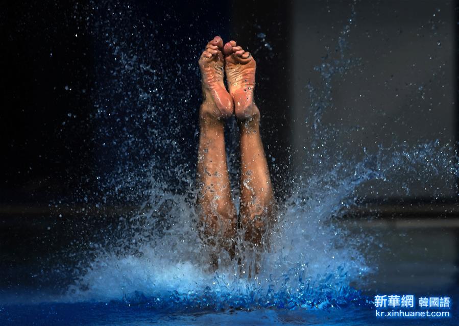 （里约奥运会）（12）跳水——女子十米跳台：中国选手包揽金银牌