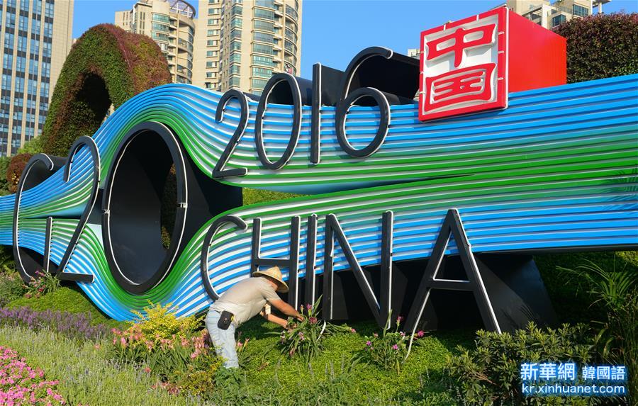 （聚焦G20）（1）G20主題花壇扮靚杭州街頭