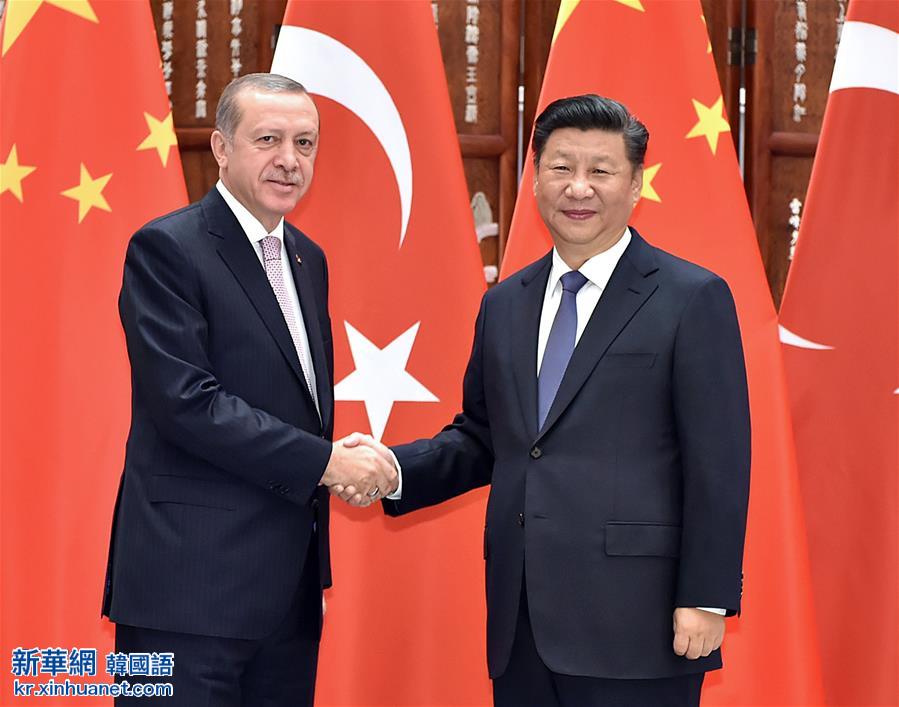 （杭州G20·时政）习近平会见土耳其总统埃尔多安