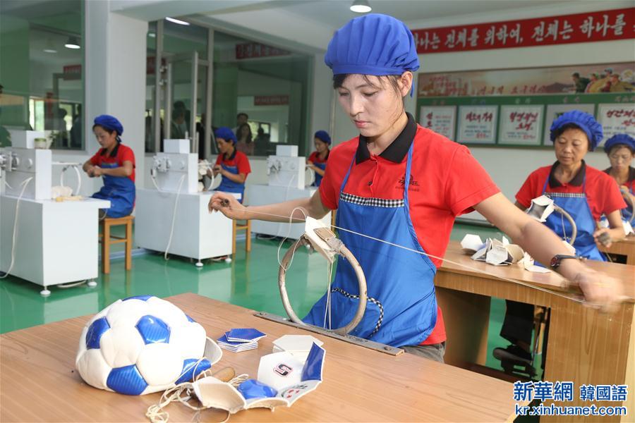 （XHDW）（6）驻朝鲜使团和国际机构代表参观平壤体育器材工厂和金杯体育人综合食品厂