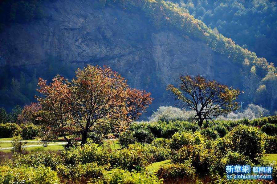 （秋季美丽生态）（3）中国最北省份开启“五彩季”