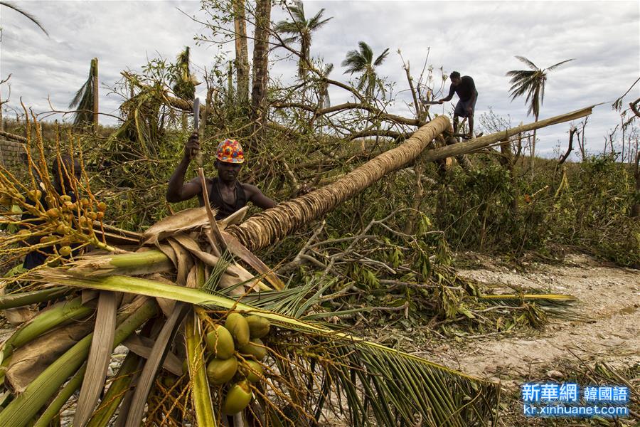 （国际）（7）联合国机构：海地75万飓风灾民迫切需要紧急援助