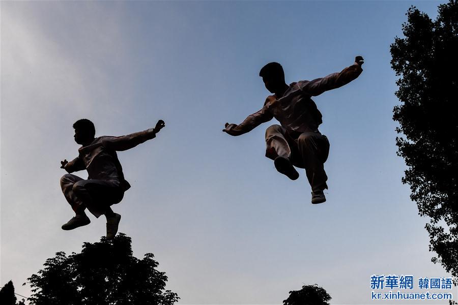 （体育）（6）第十一届中国郑州国际少林武术节开幕
