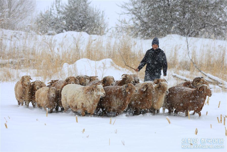 #（生態）（3）新疆阿勒泰發布暴雪藍色預警