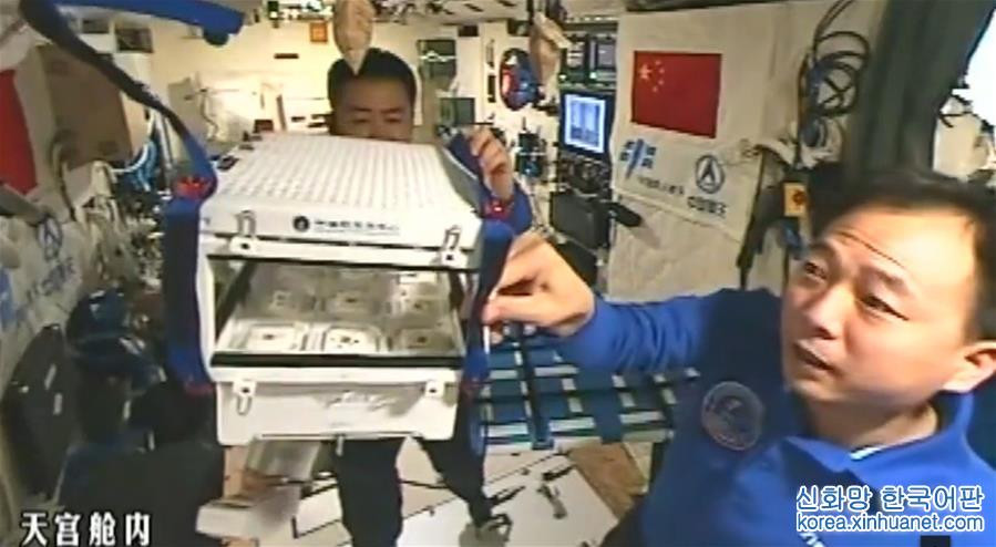 （新华社特约记者太空日记·图文互动）（1）中国人首次在太空当“菜农” 栽培装置部分来自3D打印