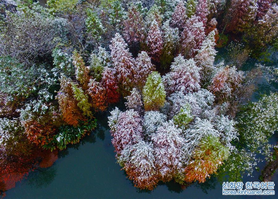 （冬季美丽生态）（1）南京：雪中紫金山风景如画