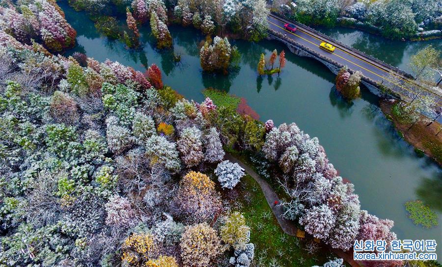 （冬季美麗生態）（2）南京：雪中紫金山風景如畫