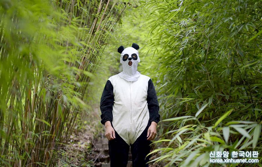（年终报道）（8）大熊猫这一年的“网红”生活