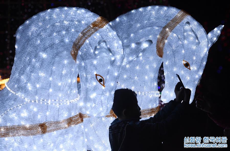 （社會）（4）歐美亞燈光藝術嘉年華在重慶涪陵開幕