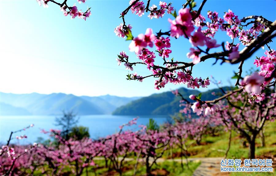 （年终报道）（1）四季美丽中国——春