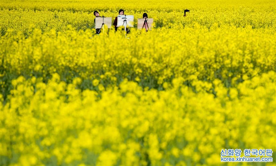 （年终报道）（10）四季美丽中国——春