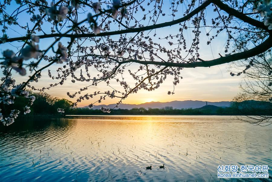 （年终报道）（12）四季美丽中国——春