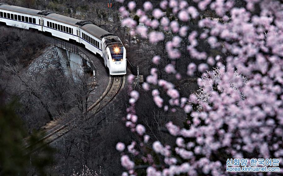 （年终报道）（8）四季美丽中国——春