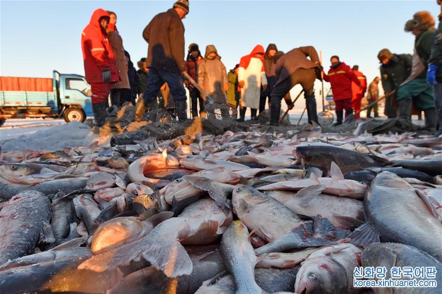 （社会）（3）查干湖冬捕传承千年渔猎文化
