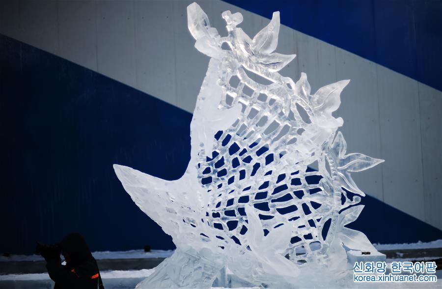 （文化）（7）哈尔滨国际冰雕比赛落幕 