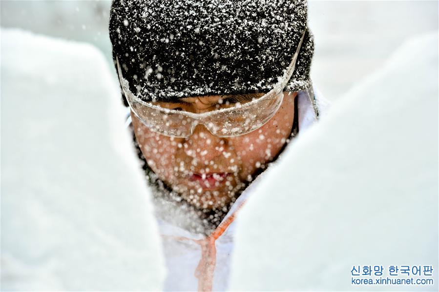 （文化）（4）第36届全国专业冰雕比赛在哈尔滨落下帷幕